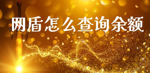 网盾怎么查询余额_https://wap.jnlaobingbanjia.com_证券公告_第1张