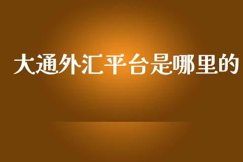 大通外汇平台是哪里的_https://wap.jnlaobingbanjia.com_金融理财_第1张