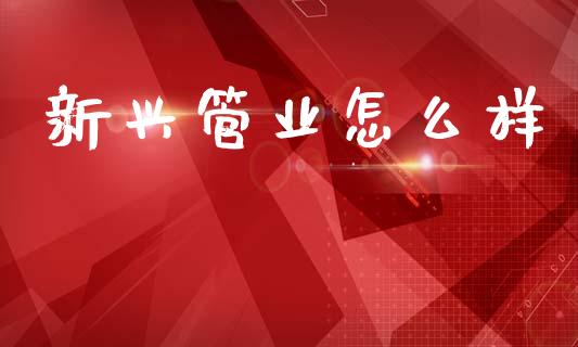 新兴管业怎么样_https://wap.jnlaobingbanjia.com_证券公告_第1张
