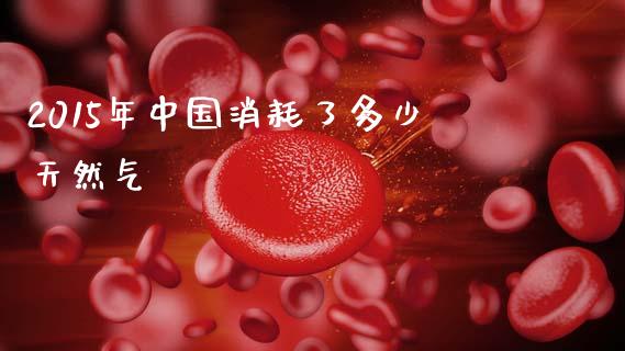 2015年中国消耗了多少天然气_https://wap.jnlaobingbanjia.com_财务管理_第1张