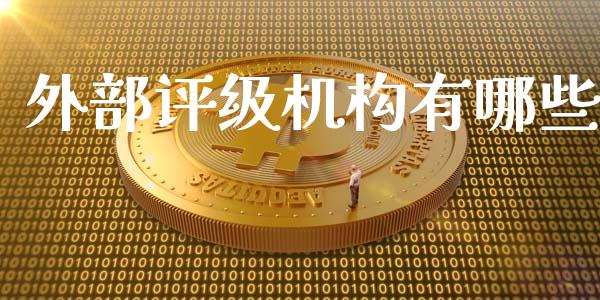 外部评级机构有哪些_https://wap.jnlaobingbanjia.com_财务管理_第1张