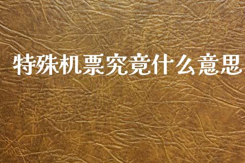 特殊机票究竟什么意思_https://wap.jnlaobingbanjia.com_财务管理_第1张