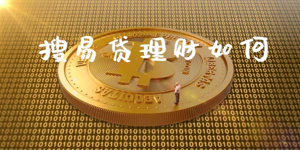 搜易贷理财如何_https://wap.jnlaobingbanjia.com_财经资讯_第1张