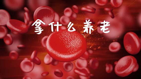 拿什么养老_https://wap.jnlaobingbanjia.com_股市行情_第1张