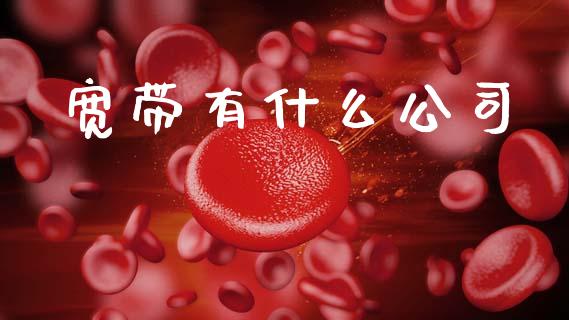 宽带有什么公司_https://wap.jnlaobingbanjia.com_基金分析_第1张