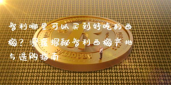 智利哪里可以买到好吃的西梅？深度探秘智利西梅产地与选购指南_https://wap.jnlaobingbanjia.com_金融理财_第1张
