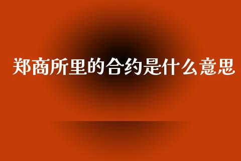 郑商所里的合约是什么意思_https://wap.jnlaobingbanjia.com_股市行情_第1张