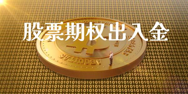 股票期权出入金_https://wap.jnlaobingbanjia.com_基金分析_第1张