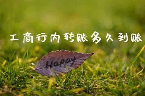工商行内转账多久到账_https://wap.jnlaobingbanjia.com_基金分析_第1张