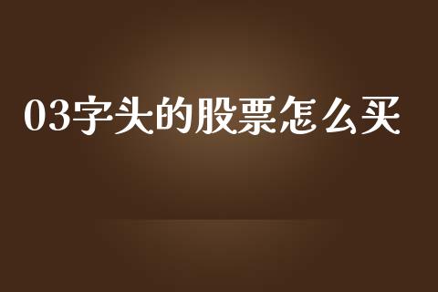 03字头的股票怎么买_https://wap.jnlaobingbanjia.com_财务管理_第1张
