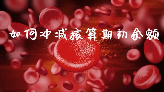 如何冲减核算期初余额_https://wap.jnlaobingbanjia.com_证券公告_第1张