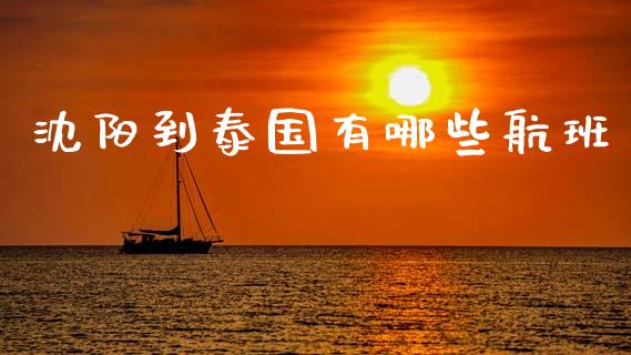 沈阳到泰国有哪些航班_https://wap.jnlaobingbanjia.com_基金分析_第1张