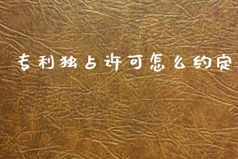 专利独占许可怎么约定_https://wap.jnlaobingbanjia.com_证券公告_第1张