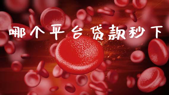 哪个平台贷款秒下_https://wap.jnlaobingbanjia.com_财经资讯_第1张