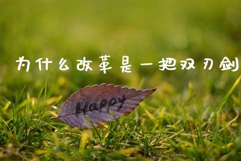 为什么改革是一把双刃剑_https://wap.jnlaobingbanjia.com_财经资讯_第1张