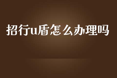 招行u盾怎么办理吗_https://wap.jnlaobingbanjia.com_股市行情_第1张