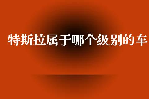 特斯拉属于哪个级别的车_https://wap.jnlaobingbanjia.com_股市行情_第1张