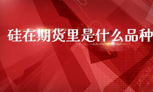 硅在期货里是什么品种_https://wap.jnlaobingbanjia.com_基金分析_第1张