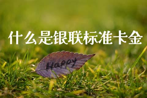 什么是银联标准卡金_https://wap.jnlaobingbanjia.com_财经资讯_第1张