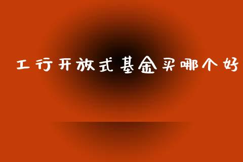 工行开放式基金买哪个好_https://wap.jnlaobingbanjia.com_金融理财_第1张