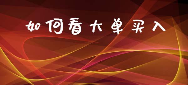 如何看大单买入_https://wap.jnlaobingbanjia.com_基金分析_第1张