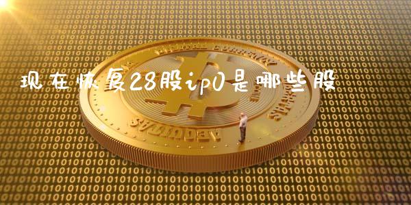现在恢复28股ip0是哪些股_https://wap.jnlaobingbanjia.com_股市行情_第1张