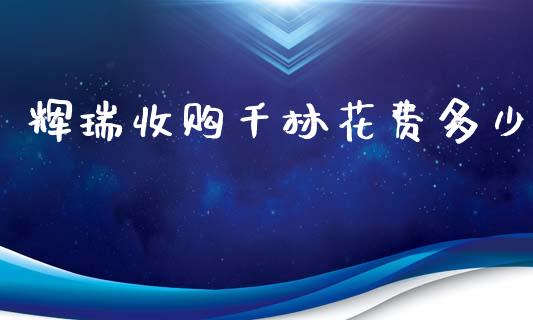 辉瑞收购千林花费多少_https://wap.jnlaobingbanjia.com_基金分析_第1张