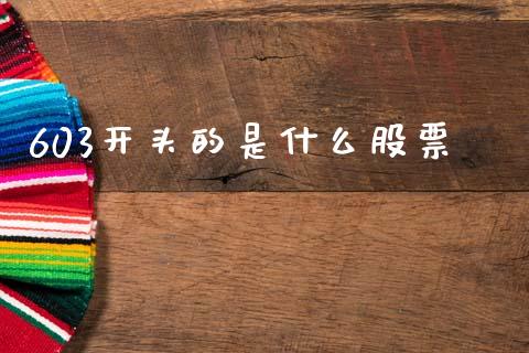 603开头的是什么股票_https://wap.jnlaobingbanjia.com_财经资讯_第1张