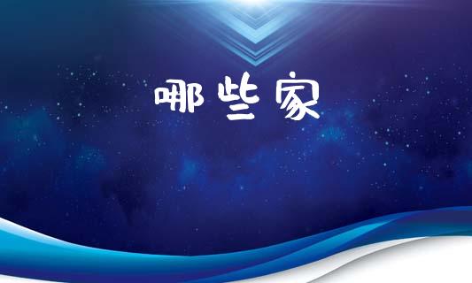 哪些家_https://wap.jnlaobingbanjia.com_财务管理_第1张