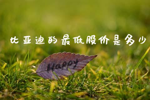 比亚迪的最低股价是多少_https://wap.jnlaobingbanjia.com_财务管理_第1张