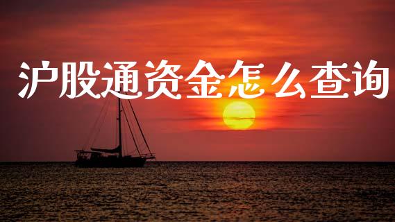 沪股通资金怎么查询_https://wap.jnlaobingbanjia.com_证券公告_第1张