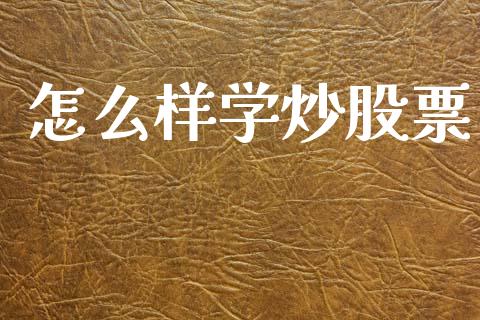 怎么样学炒股票_https://wap.jnlaobingbanjia.com_财务管理_第1张