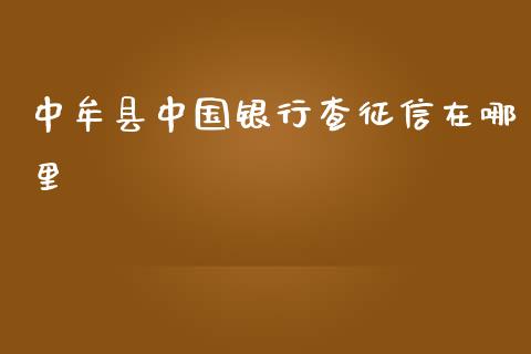 中牟县中国银行查征信在哪里_https://wap.jnlaobingbanjia.com_股市行情_第1张