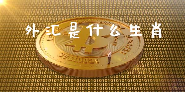外汇是什么生肖_https://wap.jnlaobingbanjia.com_金融理财_第1张