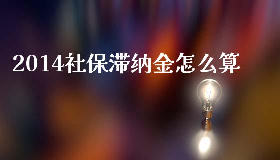2014社保滞纳金怎么算_https://wap.jnlaobingbanjia.com_财务管理_第1张