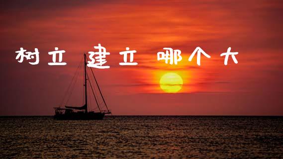 树立 建立 哪个大_https://wap.jnlaobingbanjia.com_财经资讯_第1张