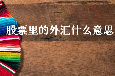 股票里的外汇什么意思_https://wap.jnlaobingbanjia.com_证券公告_第1张