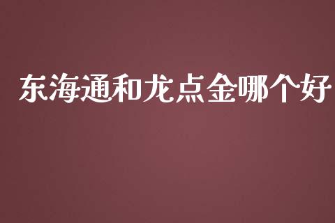 东海通和龙点金哪个好_https://wap.jnlaobingbanjia.com_证券公告_第1张