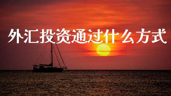 外汇投资通过什么方式_https://wap.jnlaobingbanjia.com_金融理财_第1张