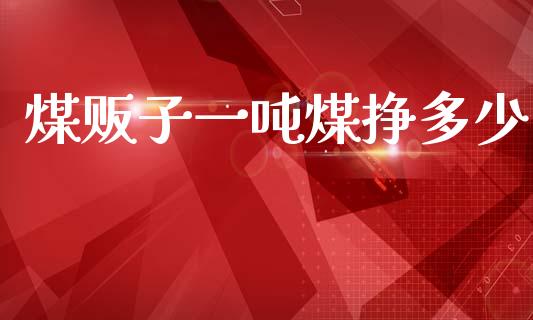 煤贩子一吨煤挣多少_https://wap.jnlaobingbanjia.com_证券公告_第1张