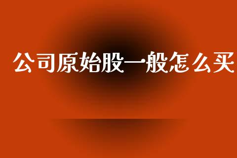 公司原始股一般怎么买_https://wap.jnlaobingbanjia.com_证券公告_第1张