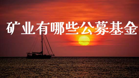 矿业有哪些公募基金_https://wap.jnlaobingbanjia.com_财务管理_第1张