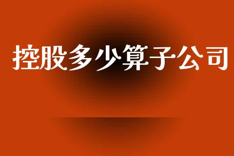 控股多少算子公司_https://wap.jnlaobingbanjia.com_金融理财_第1张