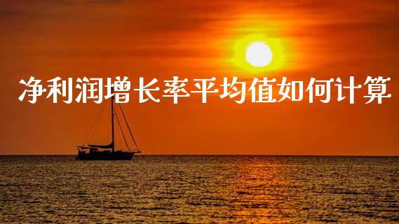 净利润增长率平均值如何计算_https://wap.jnlaobingbanjia.com_财经资讯_第1张