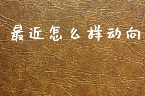 最近怎么样动向_https://wap.jnlaobingbanjia.com_基金分析_第1张