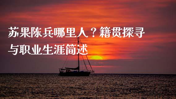 苏果陈兵哪里人？籍贯探寻与职业生涯简述_https://wap.jnlaobingbanjia.com_财务管理_第1张