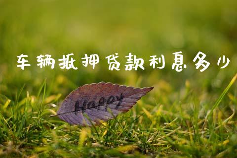 车辆抵押贷款利息多少_https://wap.jnlaobingbanjia.com_财经资讯_第1张