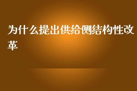 为什么提出供给侧结构性改革_https://wap.jnlaobingbanjia.com_金融理财_第1张