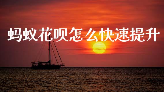 蚂蚁花呗怎么快速提升_https://wap.jnlaobingbanjia.com_证券公告_第1张
