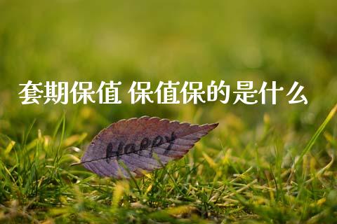 套期保值 保值保的是什么_https://wap.jnlaobingbanjia.com_基金分析_第1张
